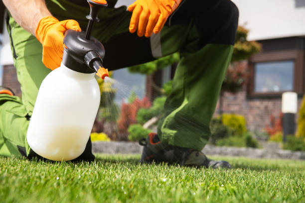Trusted Fowlerville, MI Pest Control Experts