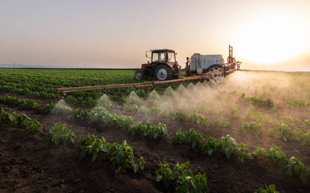 Best Commercial Pest Control Services  in Fowlerville, MI