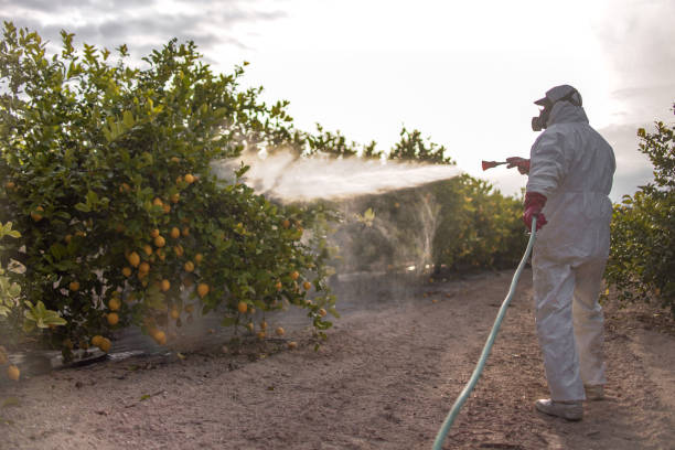 Best Pest Control Near Me in Fowlerville, MI