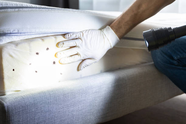 Pest Control for Restaurants in Fowlerville, MI